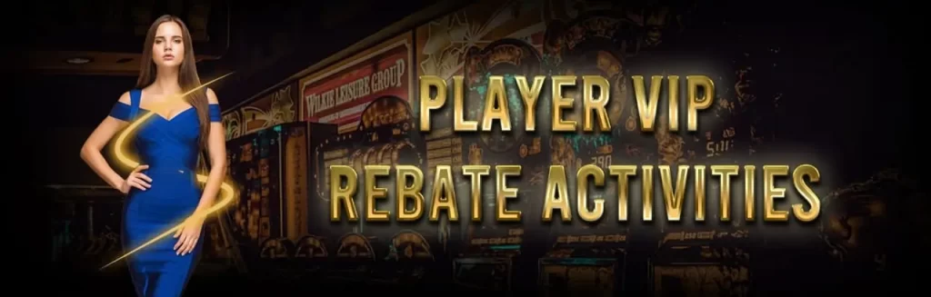 vip rebate activities