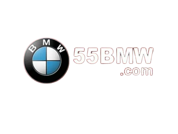 55bmw Casino Login 